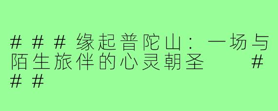 ###缘起普陀山：一场与陌生旅伴的心灵朝圣

###