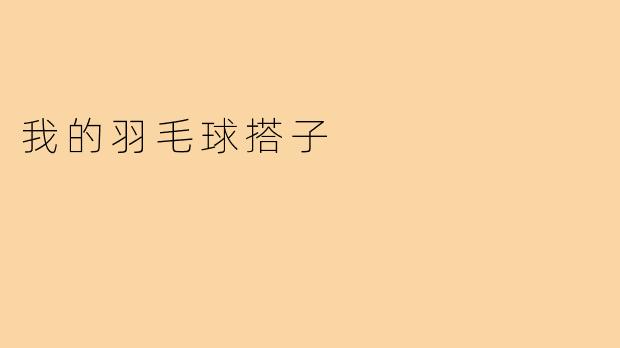 我的羽毛球搭子