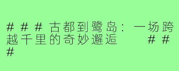 ###古都到鹭岛：一场跨越千里的奇妙邂逅

###