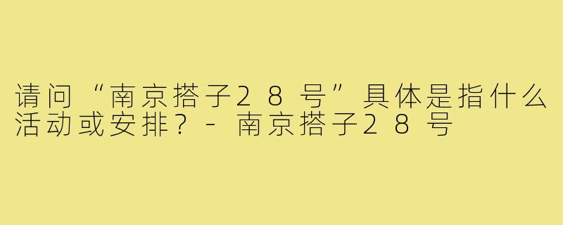 请问“南京搭子28号”具体是指什么活动或安排？-南京搭子28号
