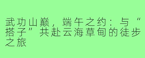武功山巅，端午之约：与“搭子”共赴云海草甸的徒步之旅