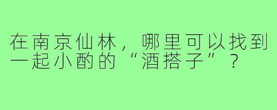 在南京仙林，哪里可以找到一起小酌的“酒搭子”？