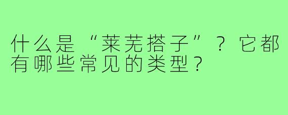 什么是“莱芜搭子”？它都有哪些常见的类型？