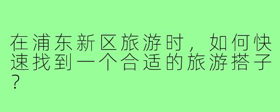 在浦东新区旅游时，如何快速找到一个合适的旅游搭子？