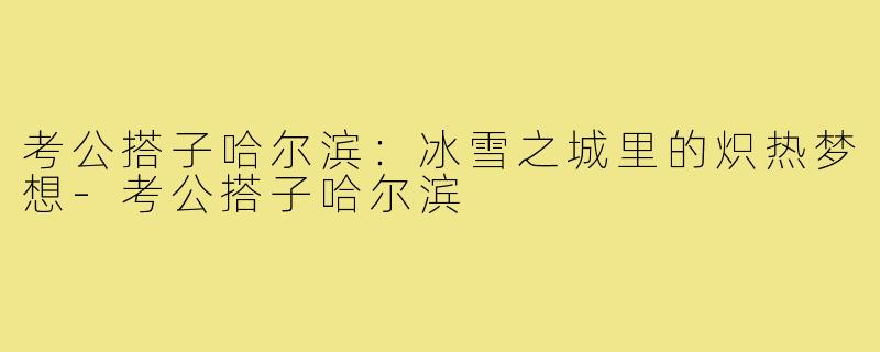 考公搭子哈尔滨：冰雪之城里的炽热梦想-考公搭子哈尔滨