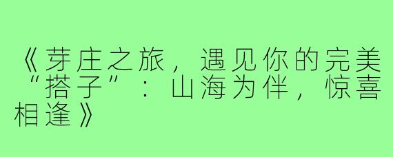《芽庄之旅，遇见你的完美“搭子”：山海为伴，惊喜相逢》