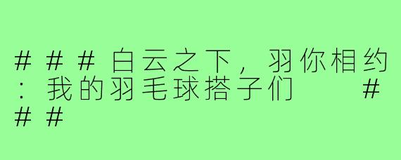 ###白云之下，羽你相约：我的羽毛球搭子们

###
