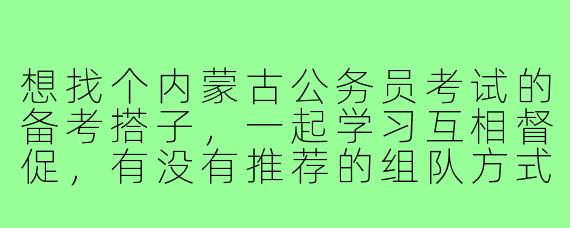 想找个内蒙古公务员考试的备考搭子,一起学习互相督促,有没有推荐的组队方式或注意事项?