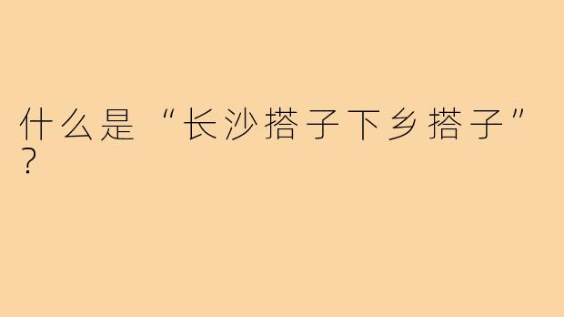 什么是“长沙搭子下乡搭子”?