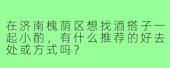 在济南槐荫区想找酒搭子一起小酌，有什么推荐的好去处或方式吗？