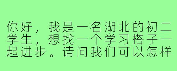 你好,我是一名湖北的初二学生,想找一个学习搭子一起进步。请问我们可以怎样互相帮助和监督呢?