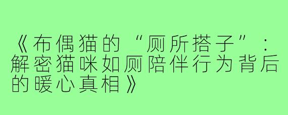 《布偶猫的“厕所搭子”：解密猫咪如厕陪伴行为背后的暖心真相》