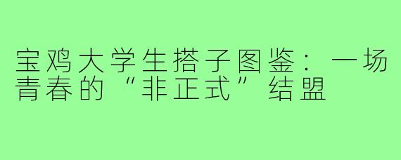 宝鸡大学生搭子图鉴：一场青春的“非正式”结盟