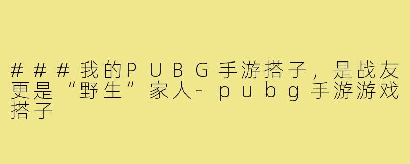 ###我的PUBG手游搭子，是战友更是“野生”家人-pubg手游游戏搭子
