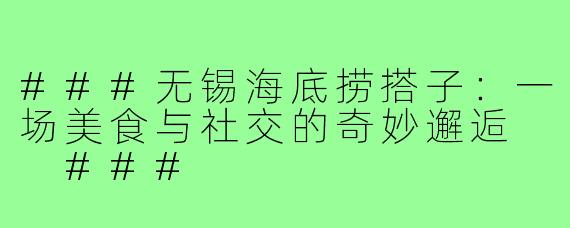 ###无锡海底捞搭子：一场美食与社交的奇妙邂逅

###