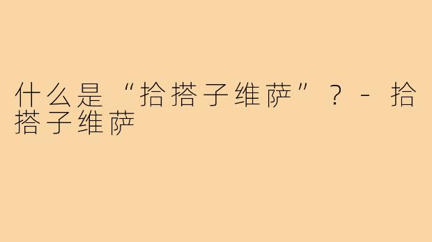 什么是“拾搭子维萨”？-拾搭子维萨