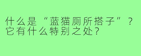什么是“蓝猫厕所搭子”？它有什么特别之处？