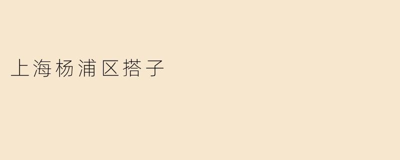 上海杨浦区搭子