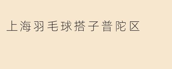 上海羽毛球搭子普陀区