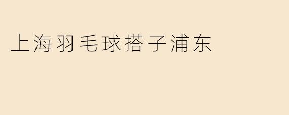 上海羽毛球搭子浦东