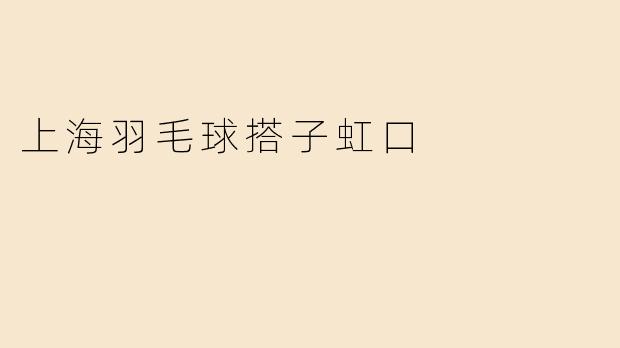 上海羽毛球搭子虹口
