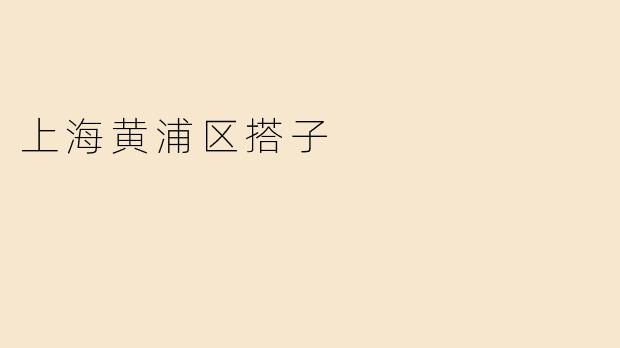 上海黄浦区搭子