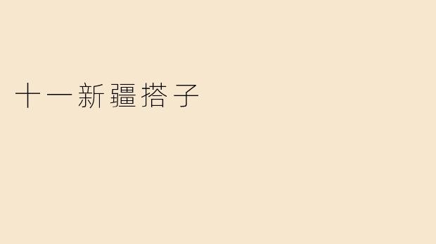 十一新疆搭子