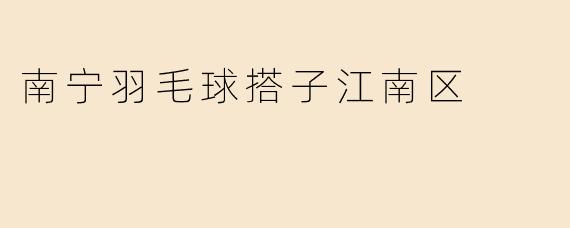 南宁羽毛球搭子江南区
