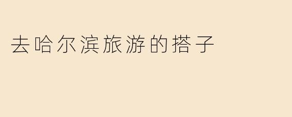 去哈尔滨旅游的搭子