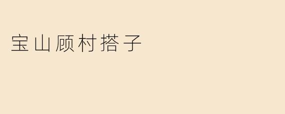 宝山顾村搭子
