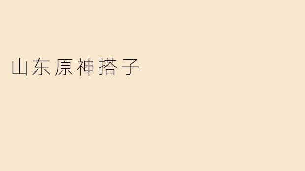 山东原神搭子