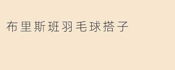 布里斯班羽毛球搭子