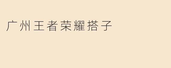 广州王者荣耀搭子