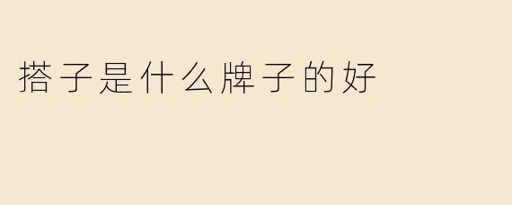 搭子是什么牌子的好