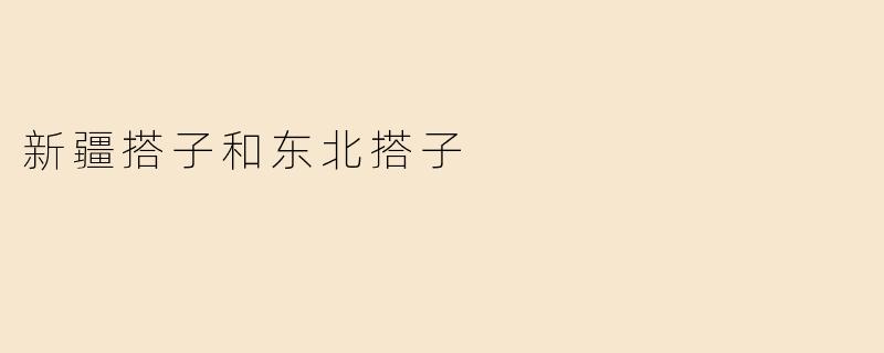 新疆搭子和东北搭子