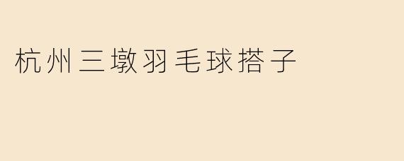 杭州三墩羽毛球搭子