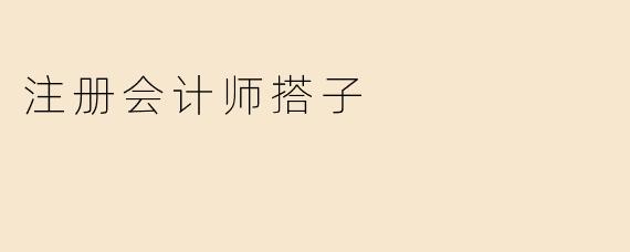 注册会计师搭子
