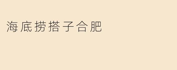 海底捞搭子合肥