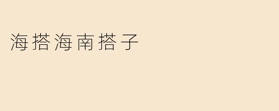 海搭海南搭子