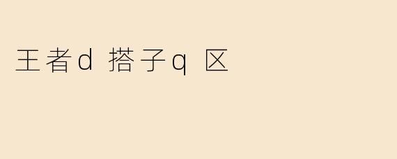 王者d搭子q区