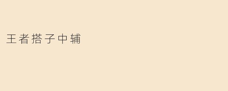 王者搭子中辅