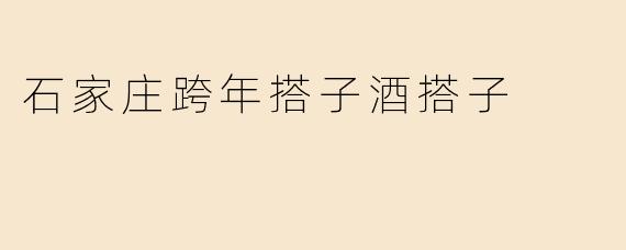 石家庄跨年搭子酒搭子