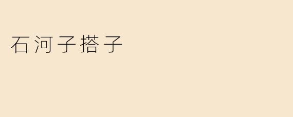 石河子搭子