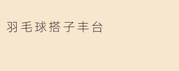 羽毛球搭子丰台