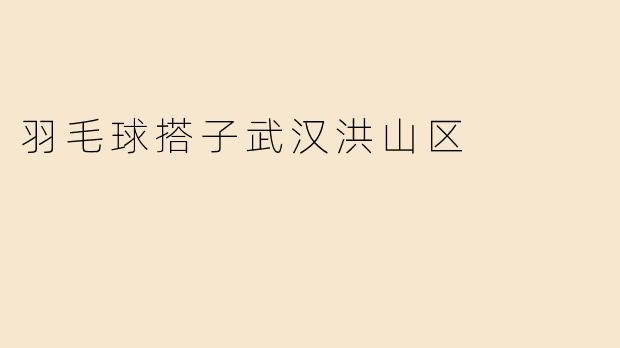 羽毛球搭子武汉洪山区