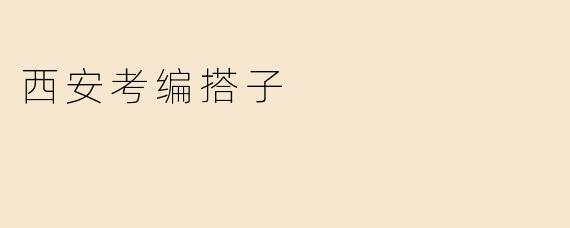 西安考编搭子