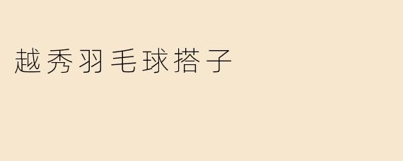 越秀羽毛球搭子
