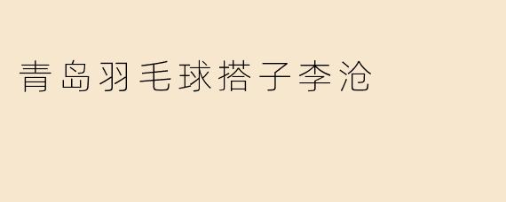 青岛羽毛球搭子李沧