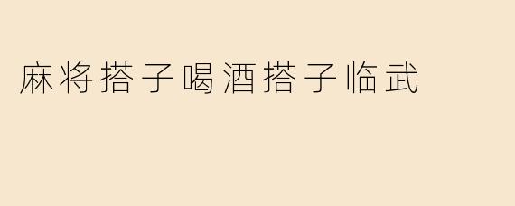 麻将搭子喝酒搭子临武