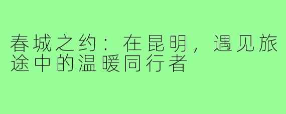 春城之约：在昆明，遇见旅途中的温暖同行者